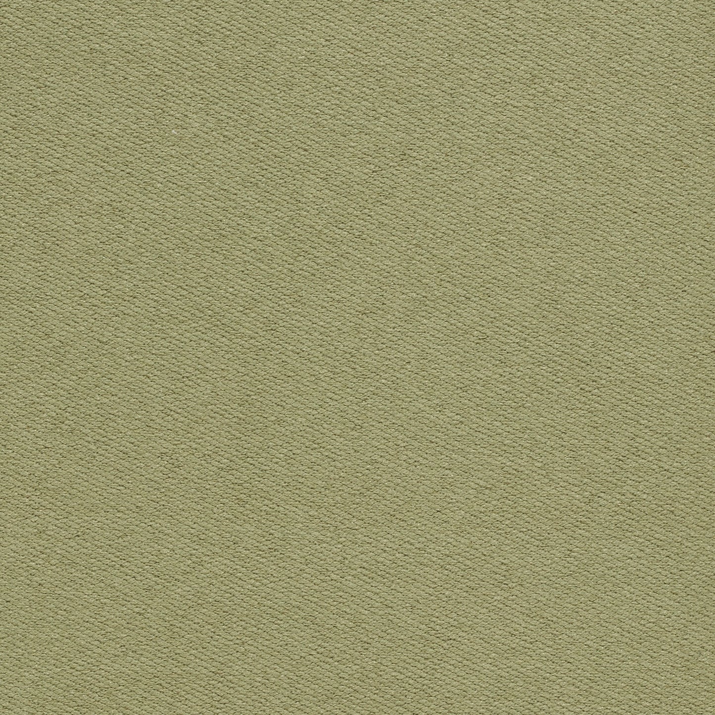 Nuvo Roman Blind - Cicely Sage