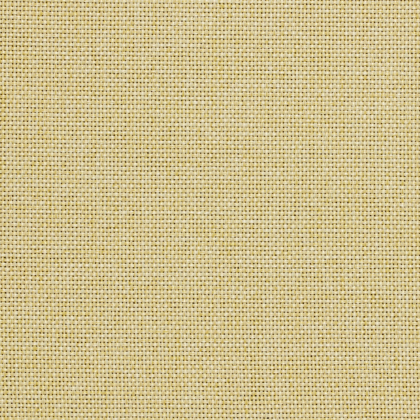 Nuvo Roman Blind - Kali Summer