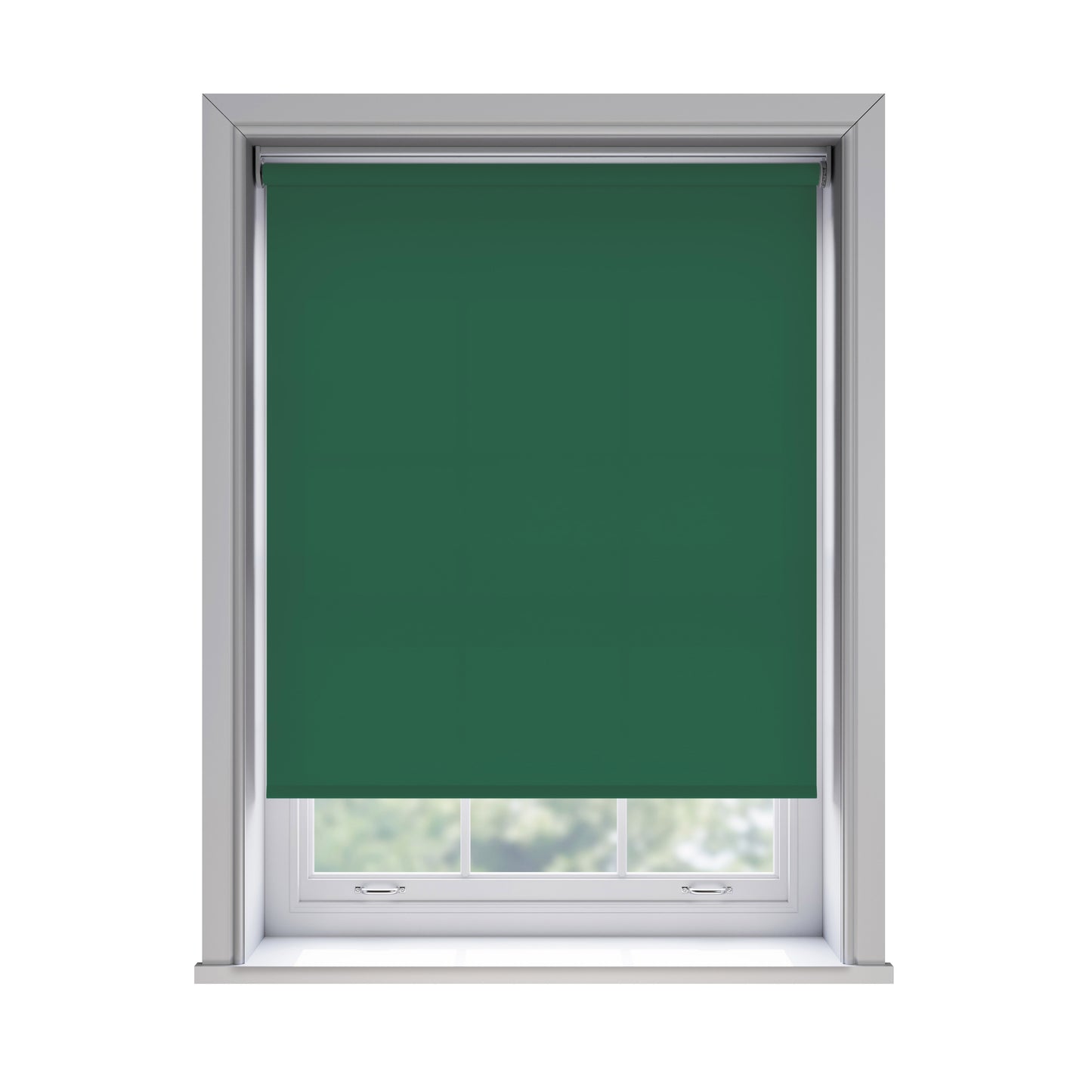 Roller Blind - Splash Cacti