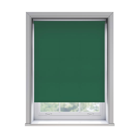 Roller Blind - Splash Cacti