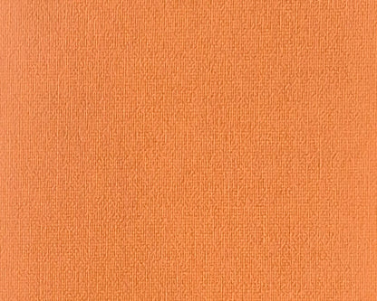 Vertical Blind Replacement Slats - 89mm Signature Blackout Apricot