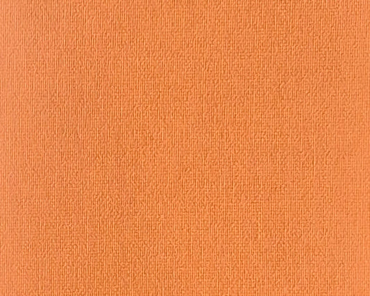 Vertical Blind Replacement Slats - 89mm Signature Daylight Apricot
